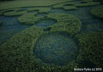 Chirton Bottom, Wiltshire crop circle, aerial photo 81
