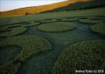Chirton Bottom, Wiltshire crop circle, aerial photo 82