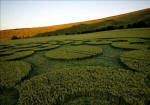 Chirton Bottom, Wiltshire crop circle, aerial photo 77