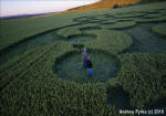 Chirton Bottom, Wiltshire crop circle, aerial photo 78