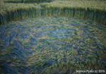 Chirton Bottom, Wiltshire crop circle, aerial photo 79