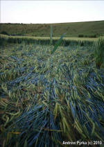 Chirton Bottom, Wiltshire crop circle, aerial photo 75