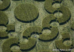Chirton Bottom, Wiltshire crop circle, aerial photo 73