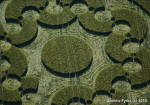 Chirton Bottom, Wiltshire crop circle, aerial photo 72