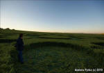 Chirton Bottom, Wiltshire crop circle, aerial photo 84