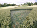St Martin's Chapel, Wiltshire crop circle, aerial photo 94