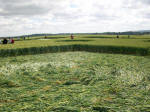 St Martin's Chapel, Wiltshire crop circle, aerial photo 91