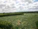 St Martin's Chapel, Wiltshire crop circle, aerial photo 92