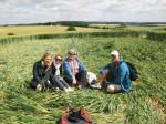 St Martin's Chapel, Wiltshire crop circle, aerial photo 97