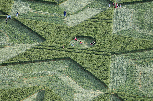 St Martin's Chapel, Wiltshire crop circle, aerial photo 9