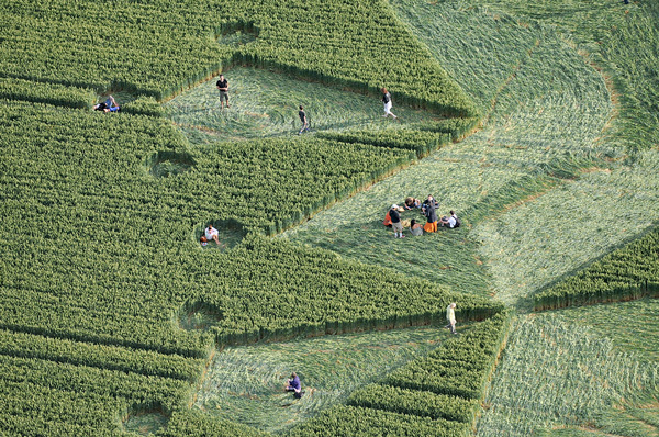 St Martin's Chapel, Wiltshire crop circle, aerial photo 10