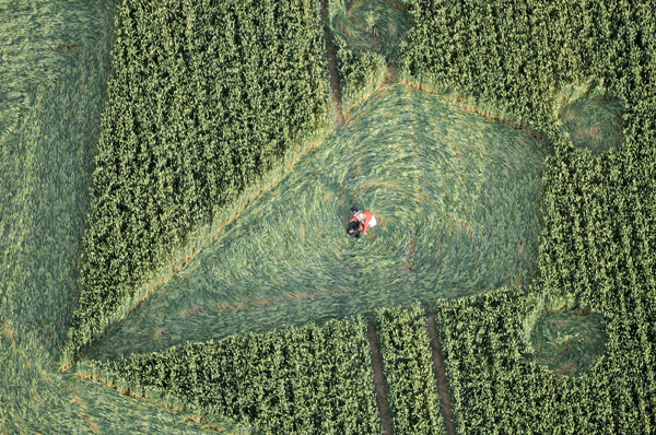 St Martin's Chapel, Wiltshire crop circle, aerial photo 12