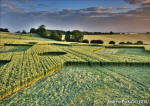 St Martin's Chapel, Wiltshire crop circle, aerial photo 65