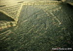 St Martin's Chapel, Wiltshire crop circle, aerial photo 67