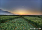 St Martin's Chapel, Wiltshire crop circle, aerial photo 61