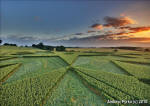 St Martin's Chapel, Wiltshire crop circle, aerial photo 62