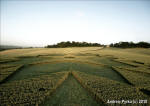 St Martin's Chapel, Wiltshire crop circle, aerial photo 69