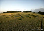 St Martin's Chapel, Wiltshire crop circle, aerial photo 72