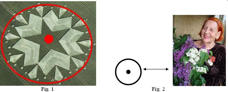 St Martin's Chapel, Wiltshire crop circle, aerial photo 18