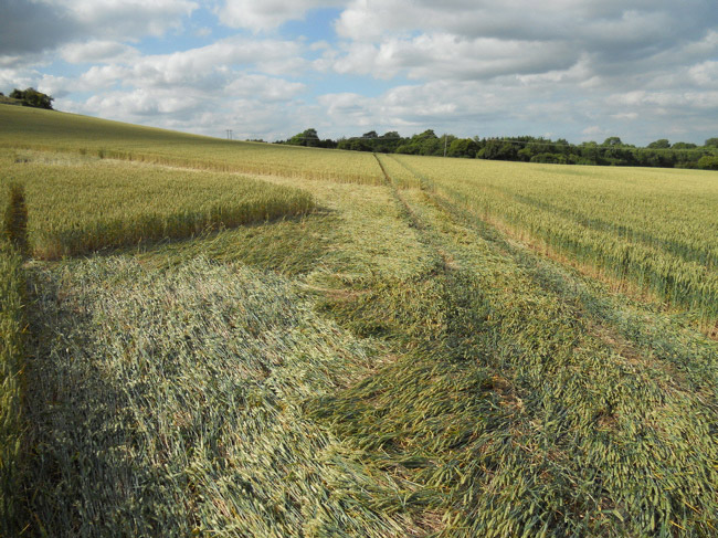 Cley Hill, Wiltshire crop circle, aerial photo 54