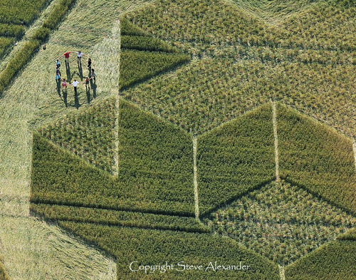 Cley Hill, Wiltshire crop circle, aerial photo 7