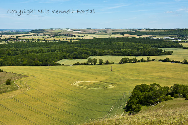 Cley Hill, Wiltshire crop circle, aerial photo 49