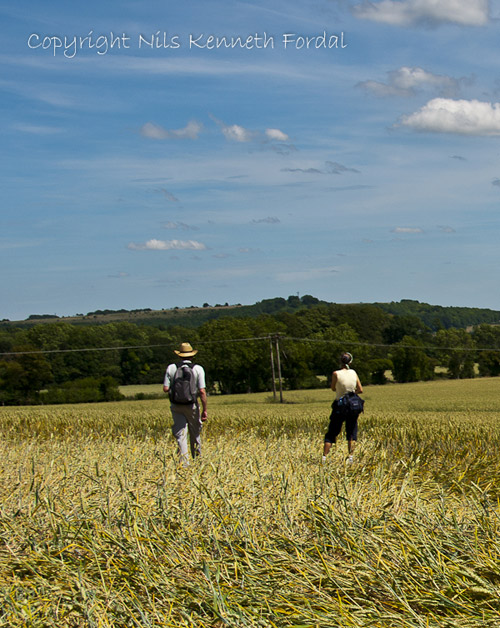Cley Hill, Wiltshire crop circle, aerial photo 51