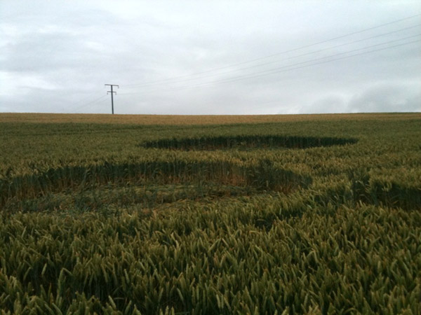 Clifton, Yorkshire crop circle, aerial photo 13