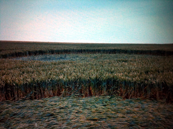 Clifton, Yorkshire crop circle, aerial photo 14