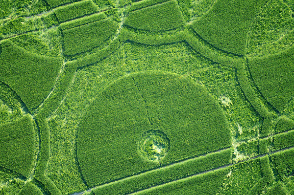 Codford St Peter, Wiltshire crop circle, aerial photo 48