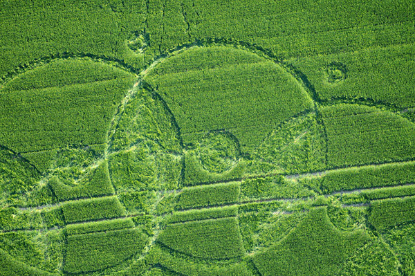 Codford St Peter, Wiltshire crop circle, aerial photo 49