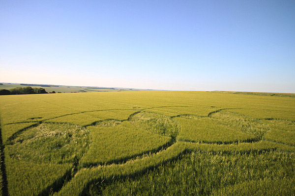 Codford St Peter, Wiltshire crop circle, aerial photo 50