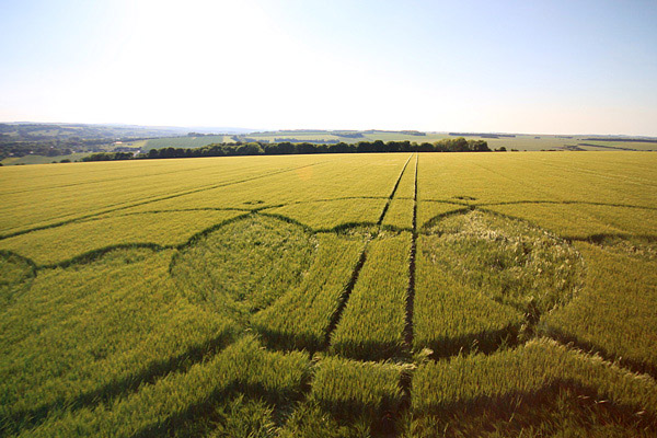 Codford St Peter, Wiltshire crop circle, aerial photo 51