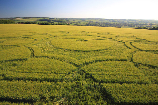 Codford St Peter, Wiltshire crop circle, aerial photo 52
