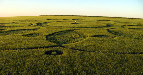 Codford St Peter, Wiltshire crop circle, aerial photo 37