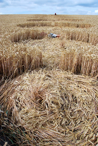 East Field, Wiltshire crop circle, ground photo 79