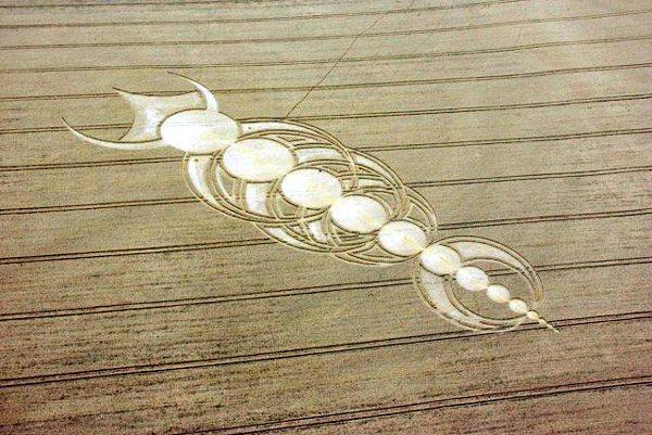 East Field, Wiltshire crop circle, aerial photo 47