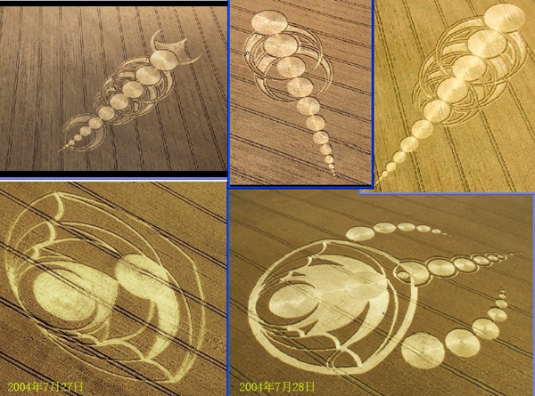 East Field, Wiltshire crop circle, aerial photo 64