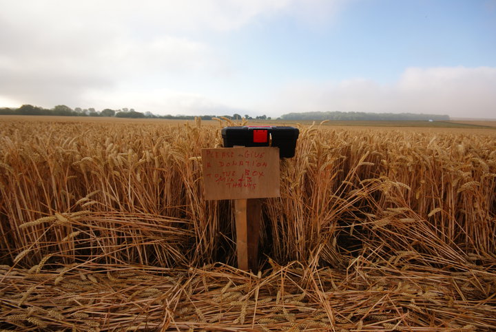 East Field, Wiltshire crop circle, aerial photo 54