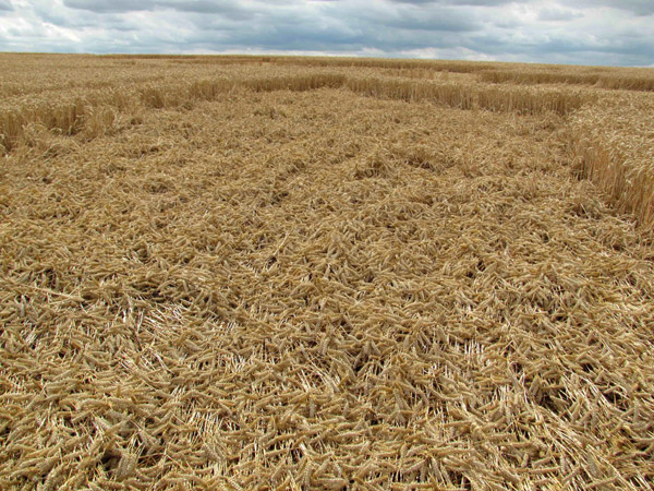 East Field, Wiltshire crop circle, aerial photo 94