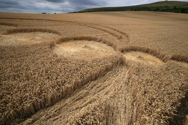 East Field, Wiltshire crop circle, aerial photo 96