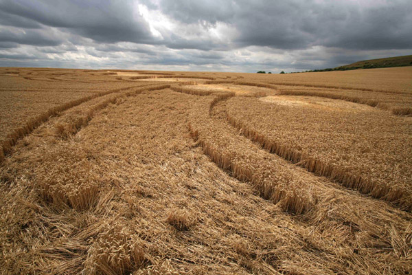 East Field, Wiltshire crop circle, aerial photo 97