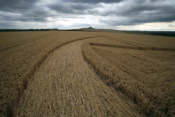 East Field, Wiltshire crop circle, aerial photo 98