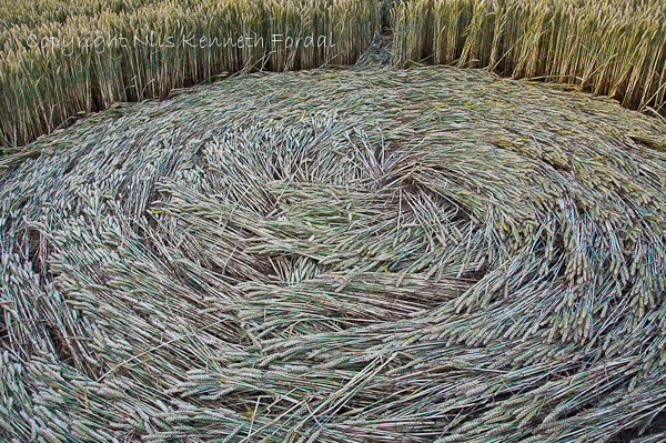 Farley Mount, Hampshire crop circle, aerial photo 28