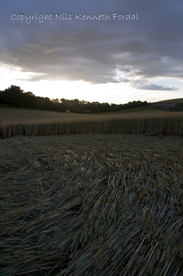 Farley Mount, Hampshire crop circle, aerial photo 29