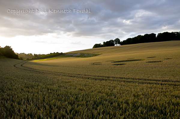 Farley Mount, Hampshire crop circle, aerial photo 25