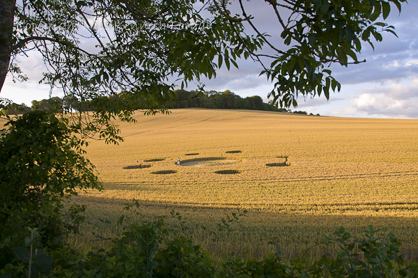 Farley Mount, Hampshire crop circle, aerial photo 24