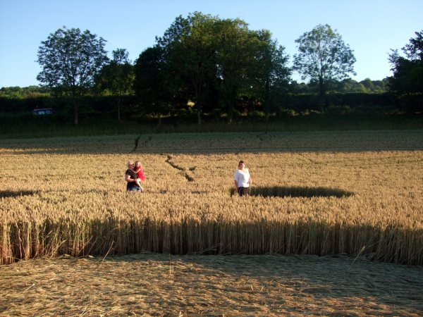 Farley Mount, Hampshire crop circle, aerial photo 45