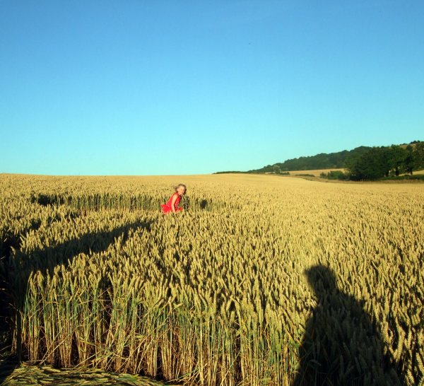 Farley Mount, Hampshire crop circle, aerial photo 40