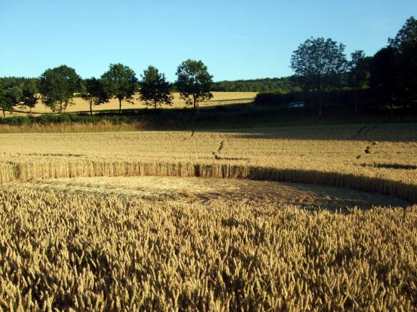 Farley Mount, Hampshire crop circle, aerial photo 39